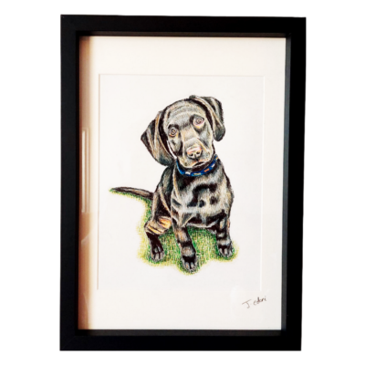 Pet personalised custom portrait service- A3 Framed (gif...