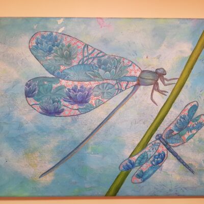 Dragonfly on a vine