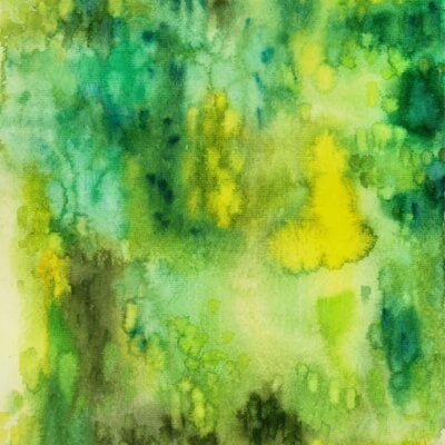 Colours of nature “Grass Fields” – Ori...