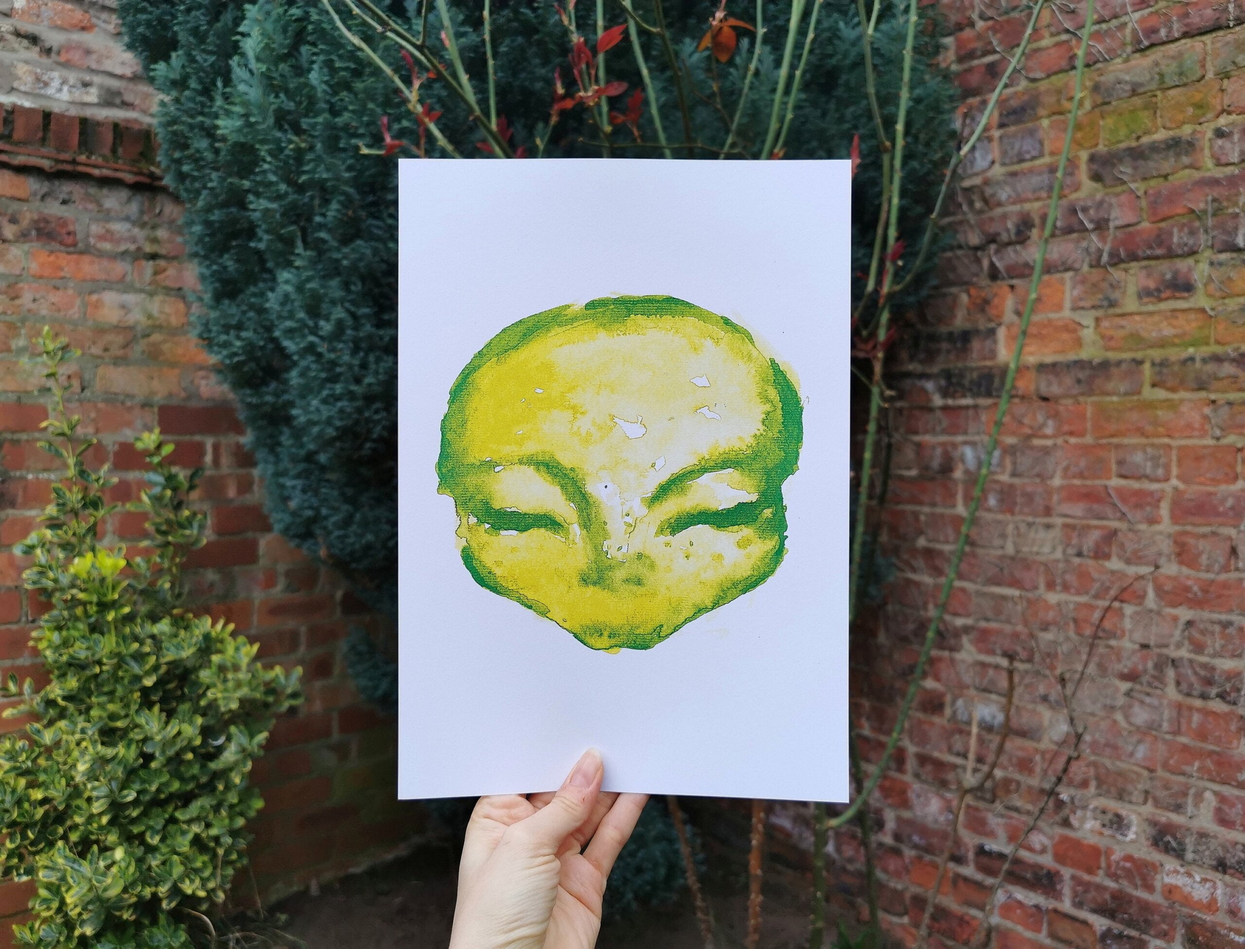 il_fullxfull.4641242260_268m.jpg il fullxfull.4641242260 268m scaled