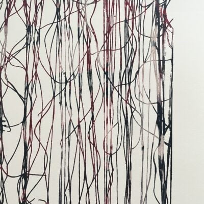 ‘Falling Hair’ Edition print (original screen print)...