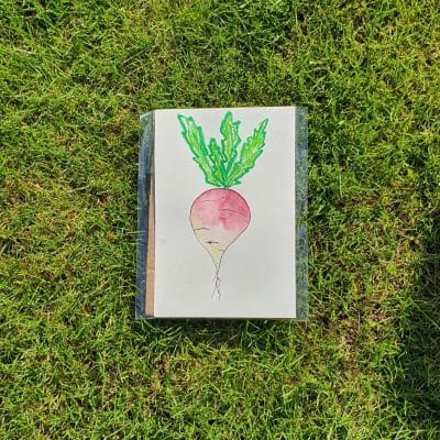 Vegetable Illustration Turnip – Original Art Work