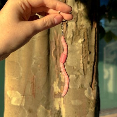 Wiggly Keyring Friend – Polymer Clay Worm Keyring...