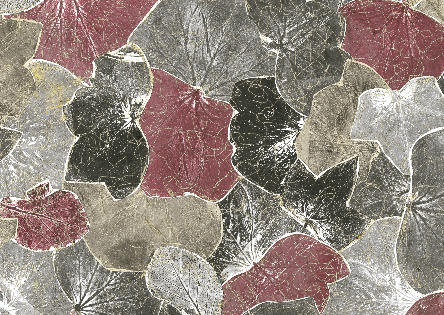 Leaf Map A Leaf Map A